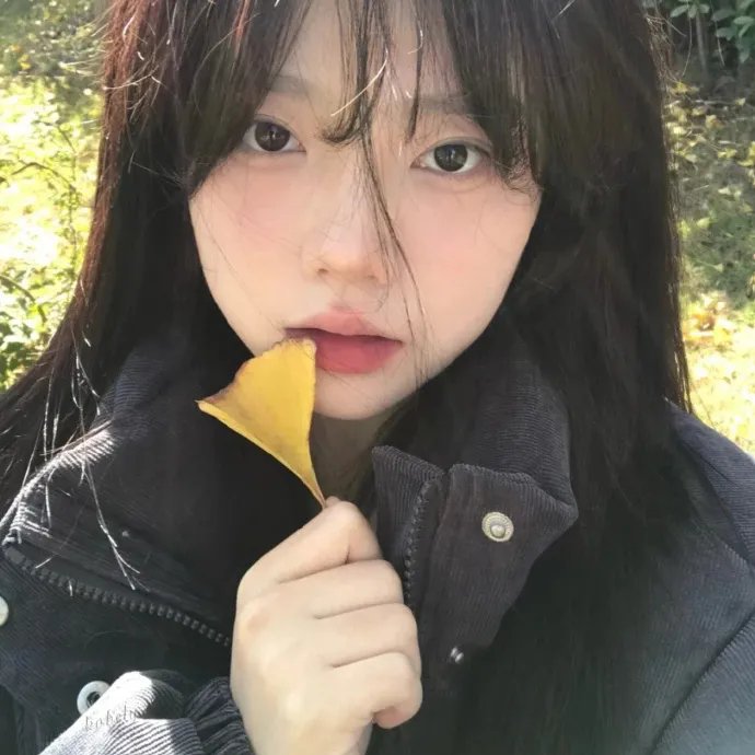 求职记